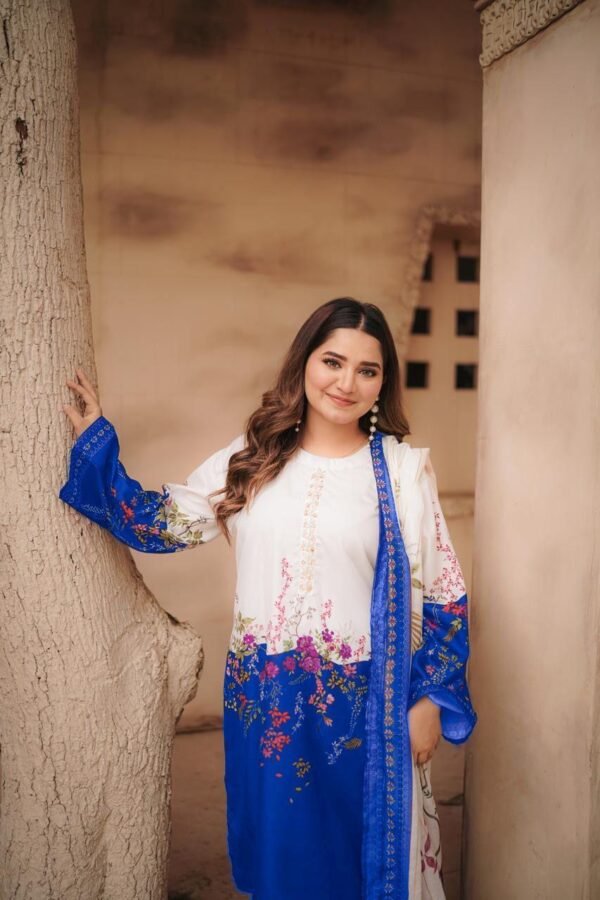 3 Pcs Women's Stitched Printed Suit