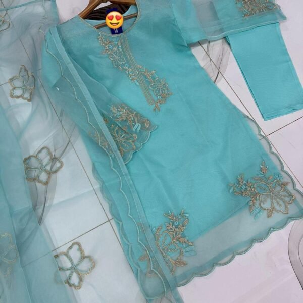 3 Pcs Women's Stitched Embroidered Suit