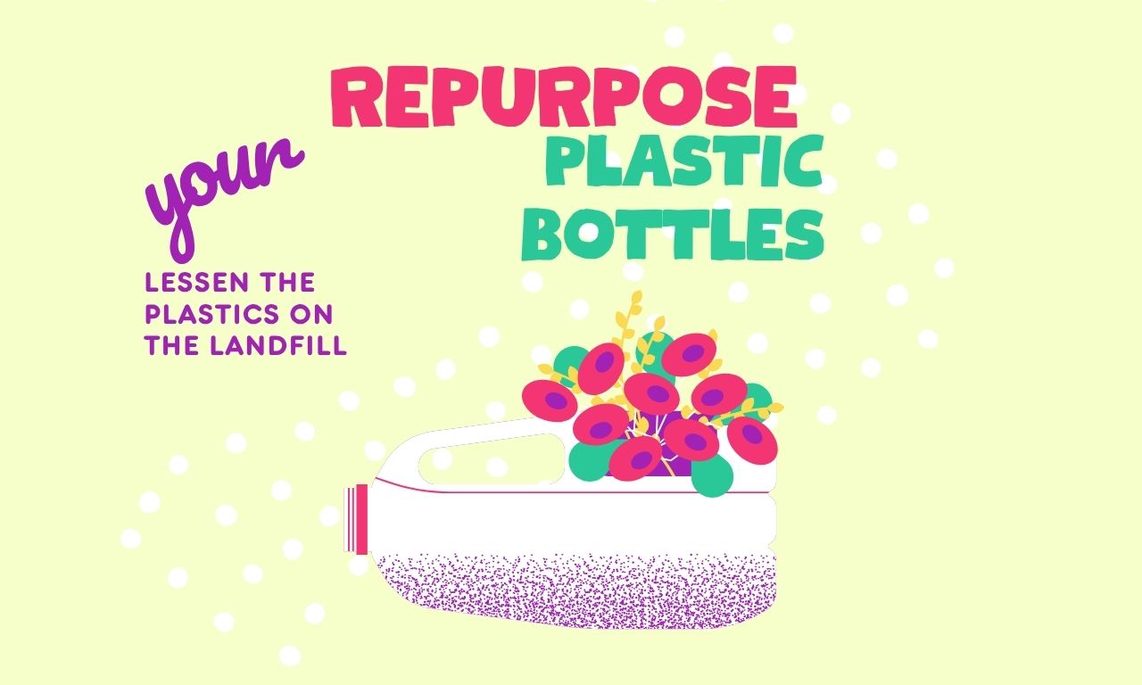 Colorful Illustrated Repurpose Your Plastic Bottles Message Instagram Post (1280 x 768 px)