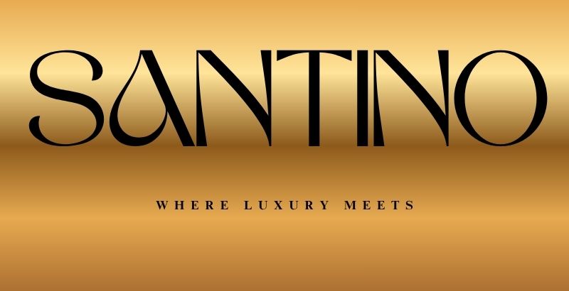 I will design a unique and luxurious fashion, beauty, or clothing brand logo (6)