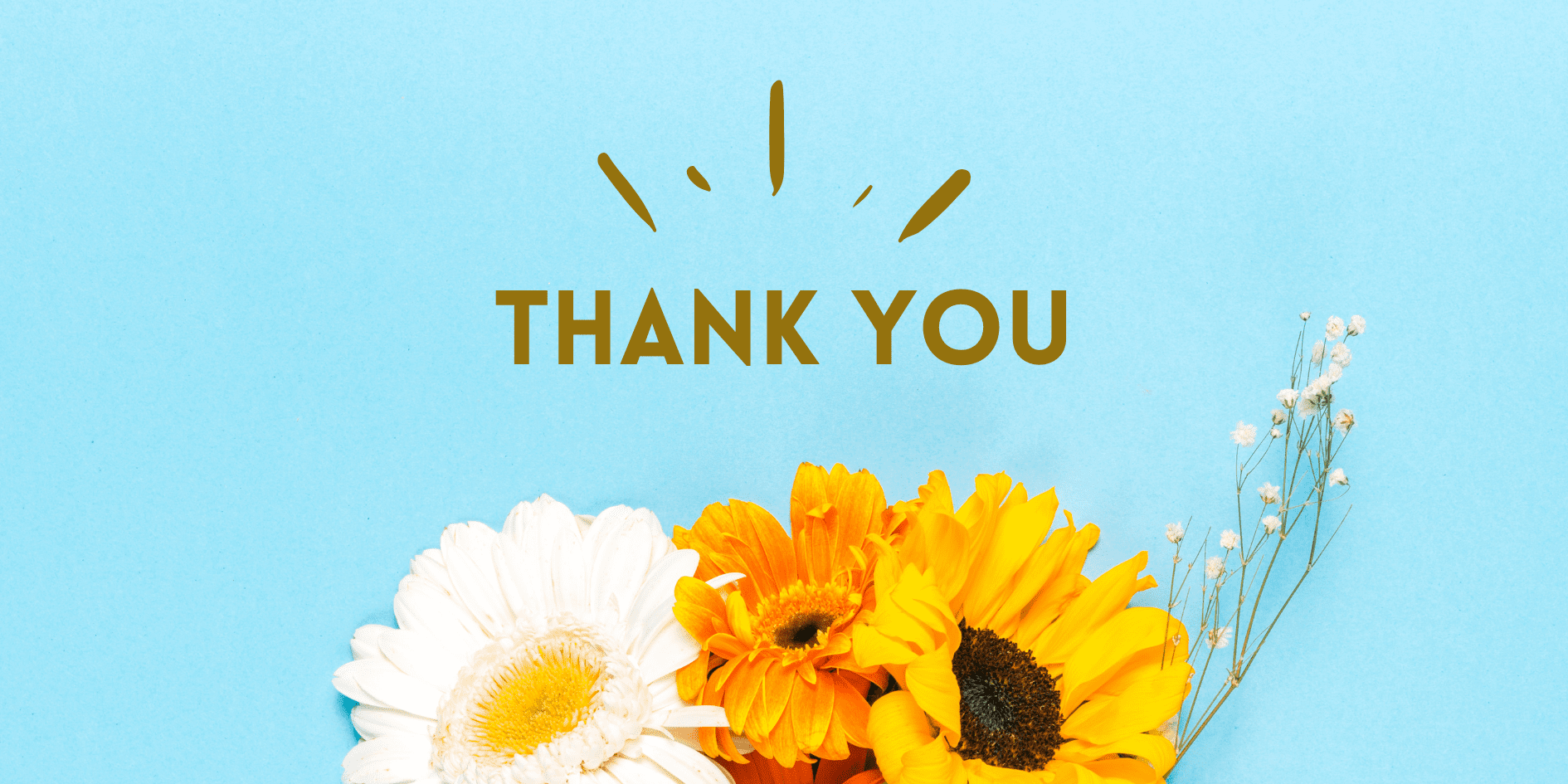 Thank You (Banner (Landscape))