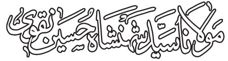 Syed Shahenshah Hussain Naqvi
